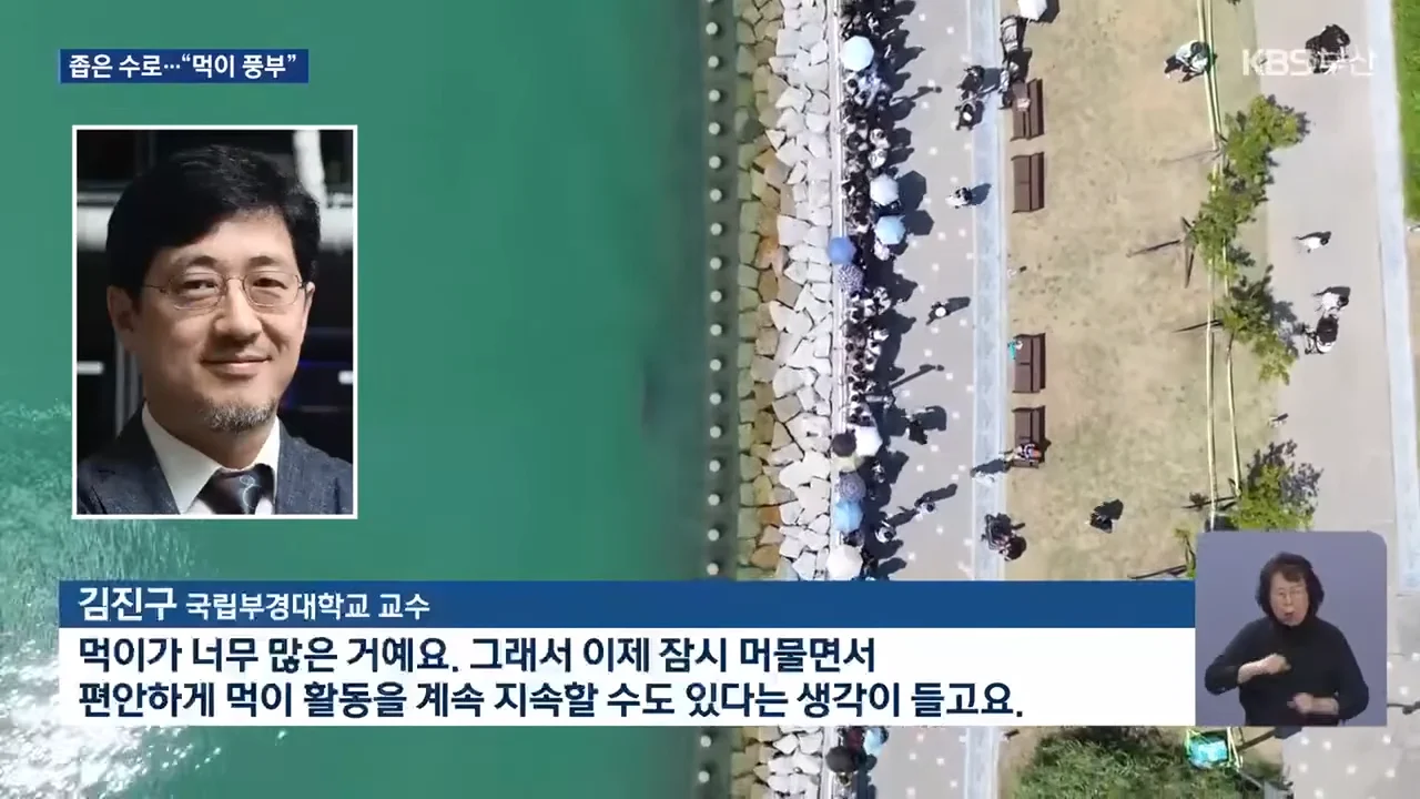 상어가 수로에서 안나가는 이유 전문가 의견