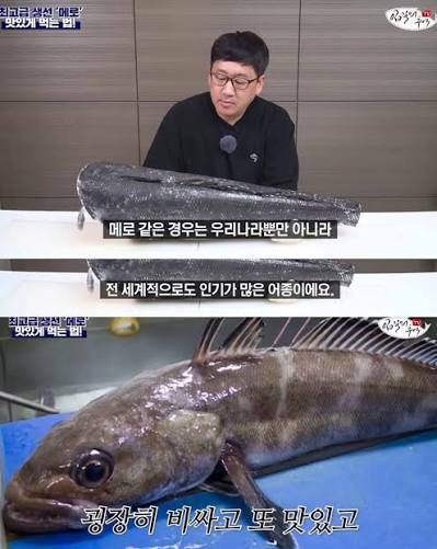 맛있어서 멸종직전까지갔던 비운의 생선 (5)