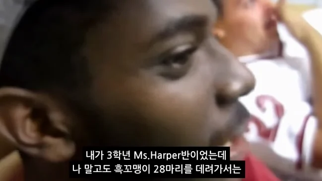 흑인 아이들 소풍을 목화밭으로 보낸 학교 (5)