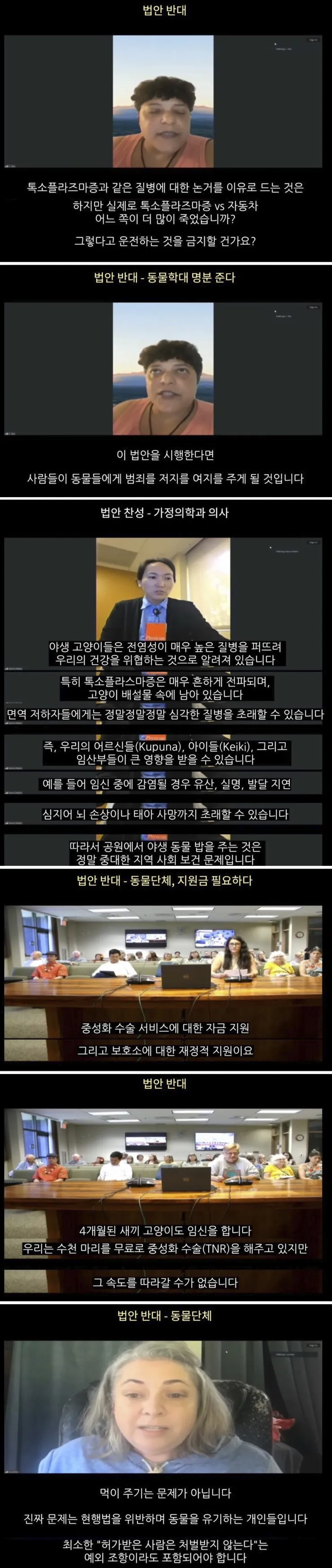 하와이 고양이 근황 feat. 의회 (3)