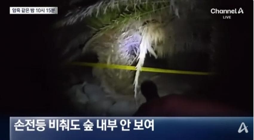 제주실종자가 발견 된 야자수 숲 가는 길을 밤에 직접 가본 기자.. (14)
