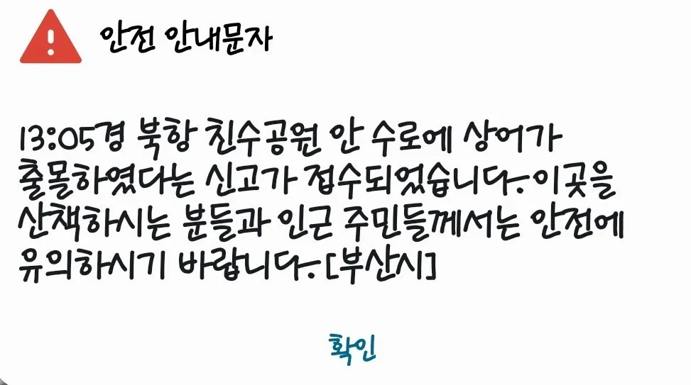 현 시각 부산에서 가장 핫한 곳이라는 부산항
