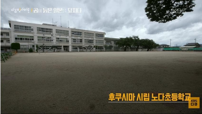 곰이 늙은 일본을 덮치다. 여고생 덮친 아키타 반달곰,, (31)