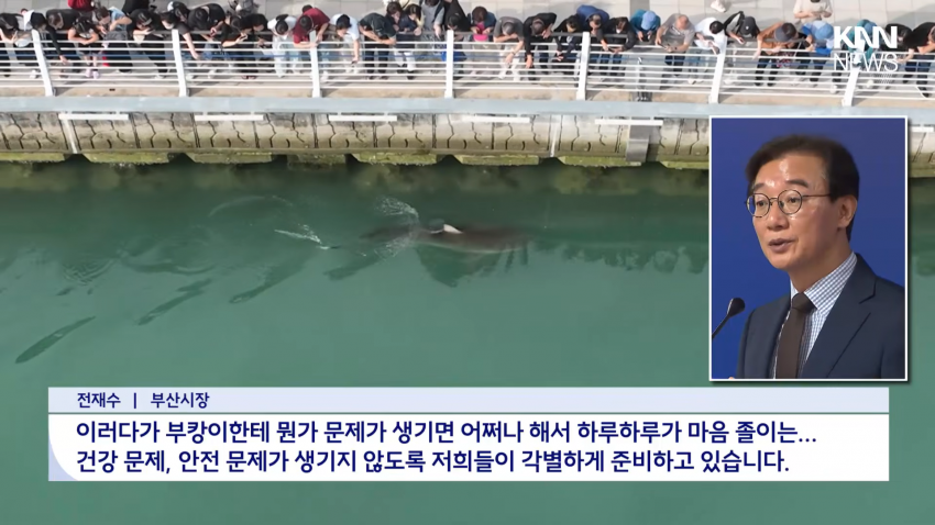 국민 상어 부캉이, 새끼 낳았나 (9)