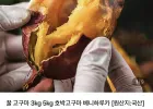 꿀고구마 한입 3kg