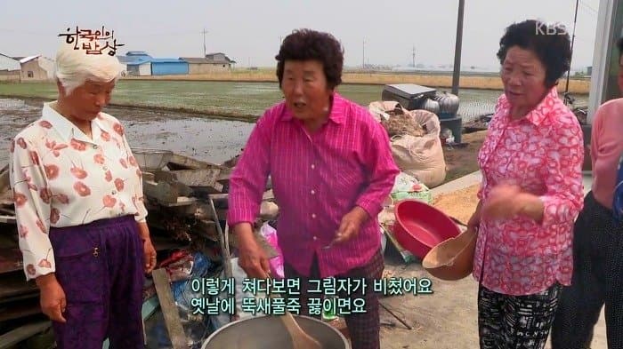 싱글벙글 보릿고개 시절에 먹었다는 잡초풀죽 (20)