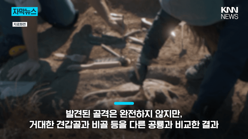 공사장에서 1억 년 전 초대형 공룡 발견 (10)