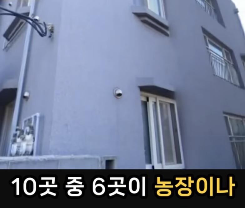 기본소득당 충남도당 사무실 (14)