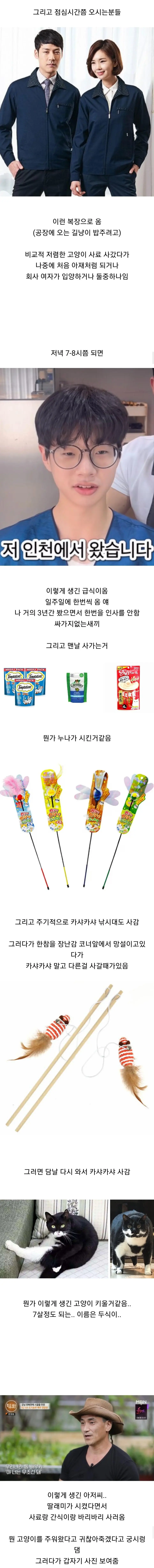 고양이 용품샵에서 일하는 직원이 말하는 손님들 관상 (3)