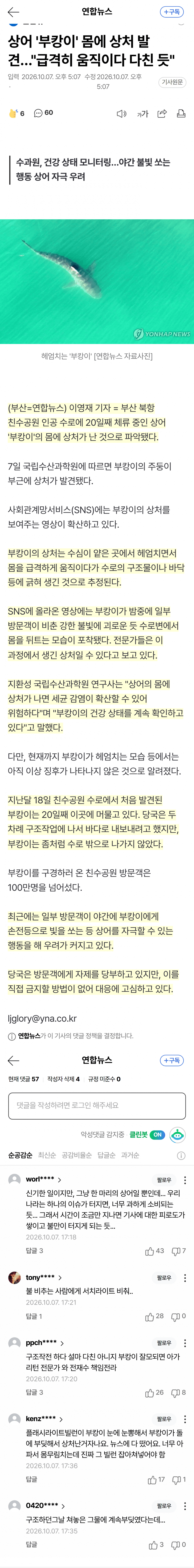 훌쩍훌쩍 죽기 직전이라는 부산 상어 (5)