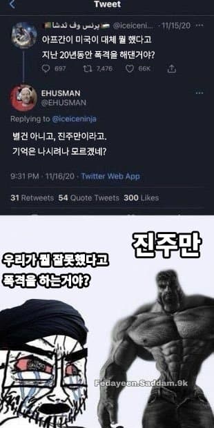 (번역) 사회적으로 올바르지 않은 해외 밈 모음 (4)