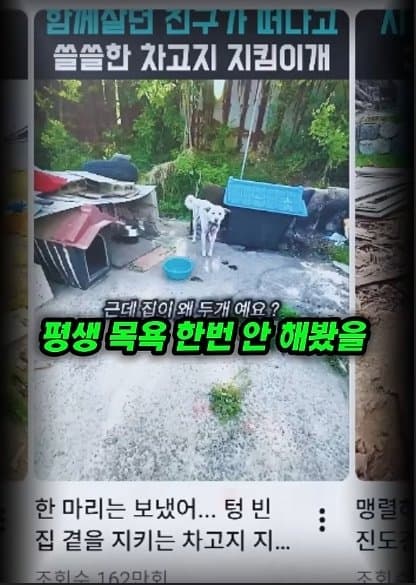 평생 목욕 한번 안 해본 차고지 지킴이 2살 한성이의 생애 첫 목욕대작전