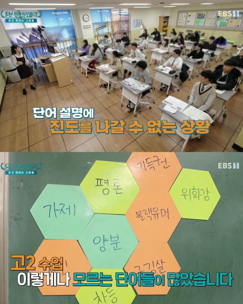 요즘 심각하다는 사람들 문해력 수준 (11)