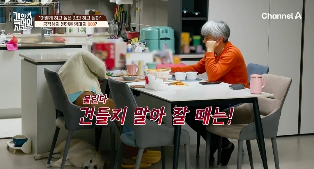 개늑시에 나오는 문제견 견주 특징 (9)