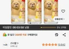 스너글 허거블 선샤인 퀵 드라이 섬유탈취제 본품, 150ml, 3개