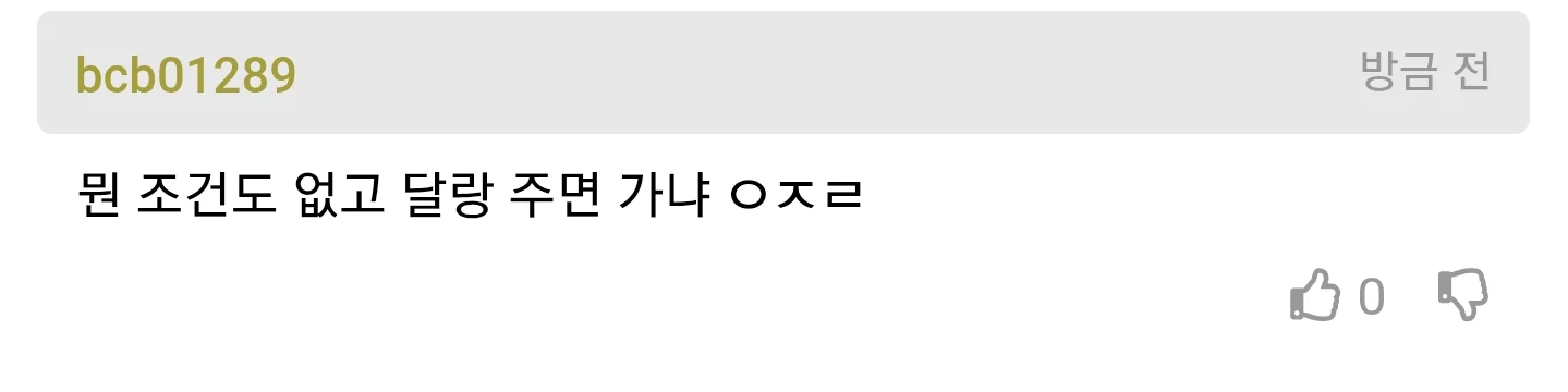 월 600~700주면 지방 갈거냐는 개붕이 (5)