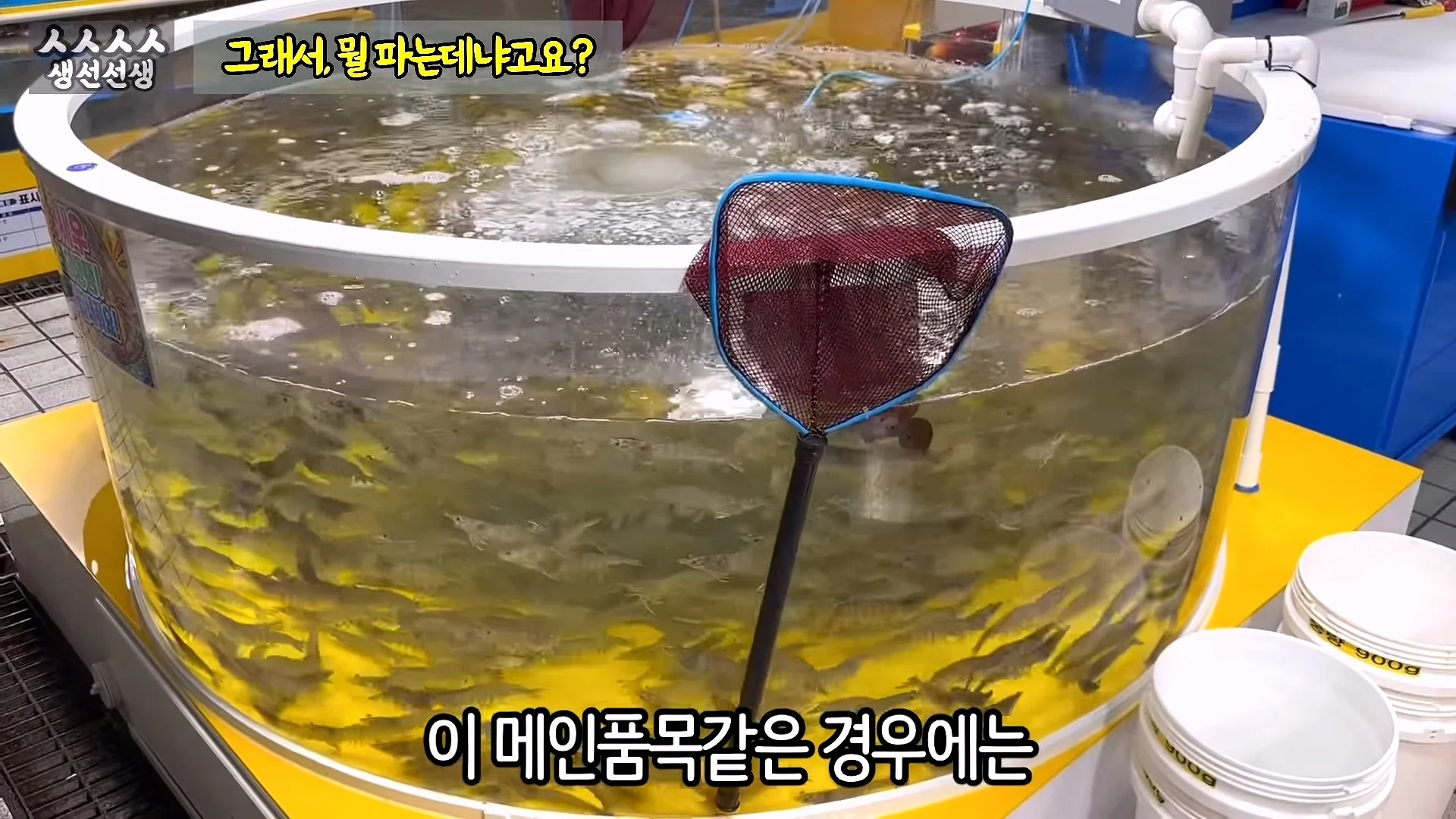 소래포구 상인에게 고소 당했던 20만 유튜버 얼굴 공개 (12)