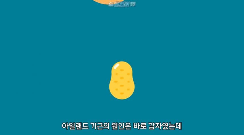 인구가 절반으로 줄어든 사연 (3)
