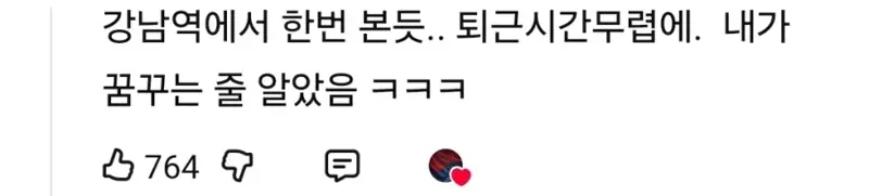 서울 도심에서 종종 보인다는 애완동물..