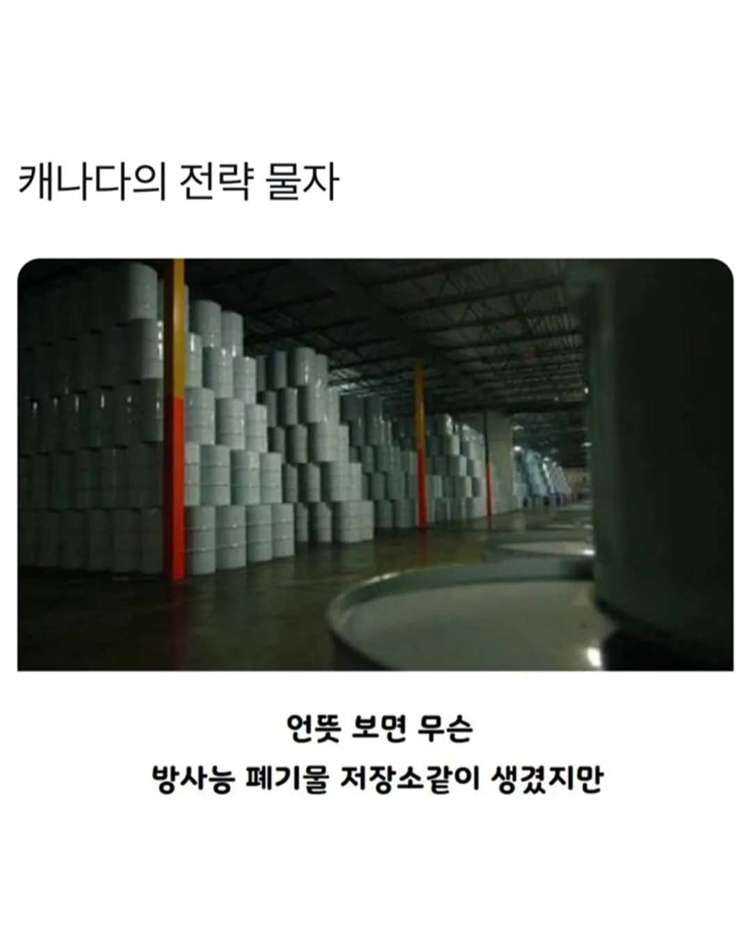 캐나다의 전략 물자