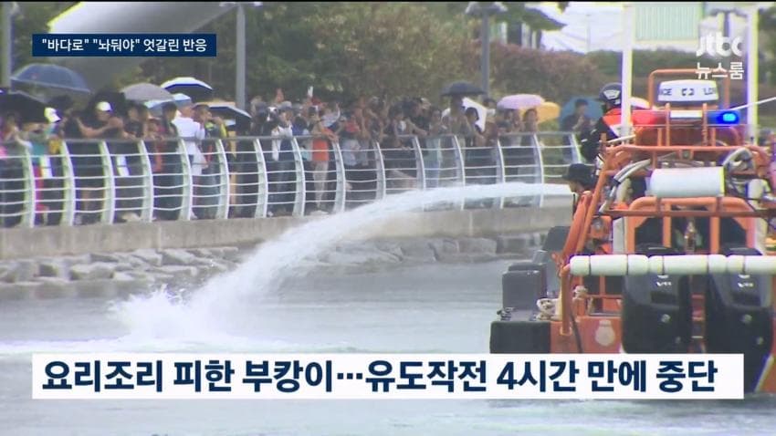 부산 상어.... 부캉이 구조 실패 ㄷㄷ...News (15)