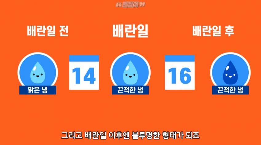 남자들은 잘 모르는 냉 이라는 것에 대하여 (35)