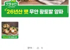 (다한농산) 26년 햇양파 산지직송 황토밭 무안 햇양파 5kg 중대혼합