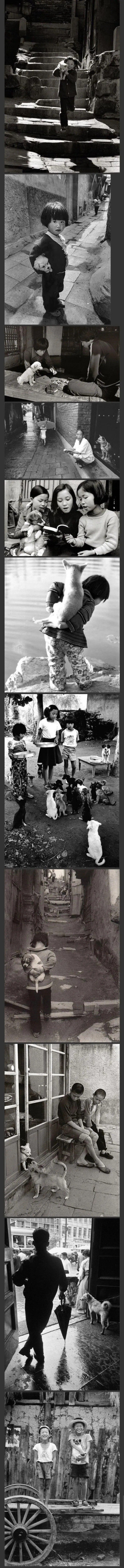 1970년대 개와 고양이가 있던 풍경.jpg