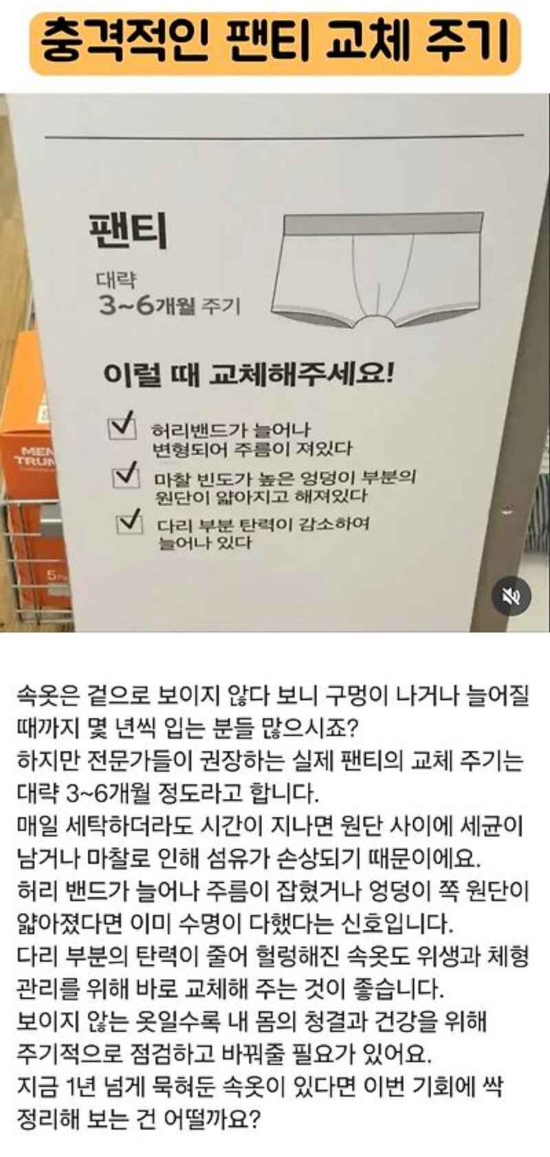 충격적인 팬티 교체주기