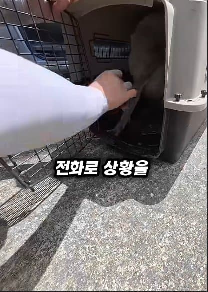 평생 목욕 한번 안 해본 차고지 지킴이 2살 한성이의 생애 첫 목욕대작전 (21)