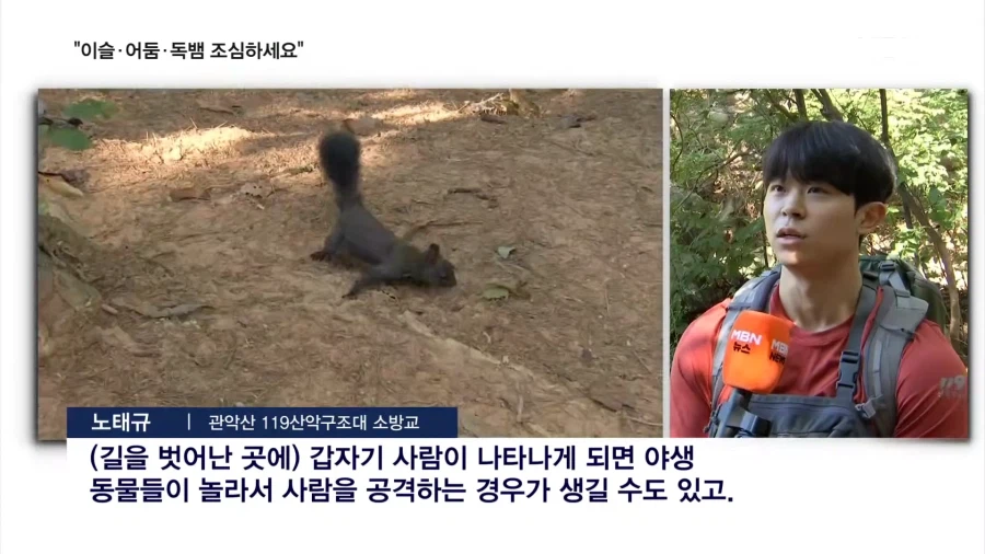 요즘 산행에 독뱀 조심하라네... (7)