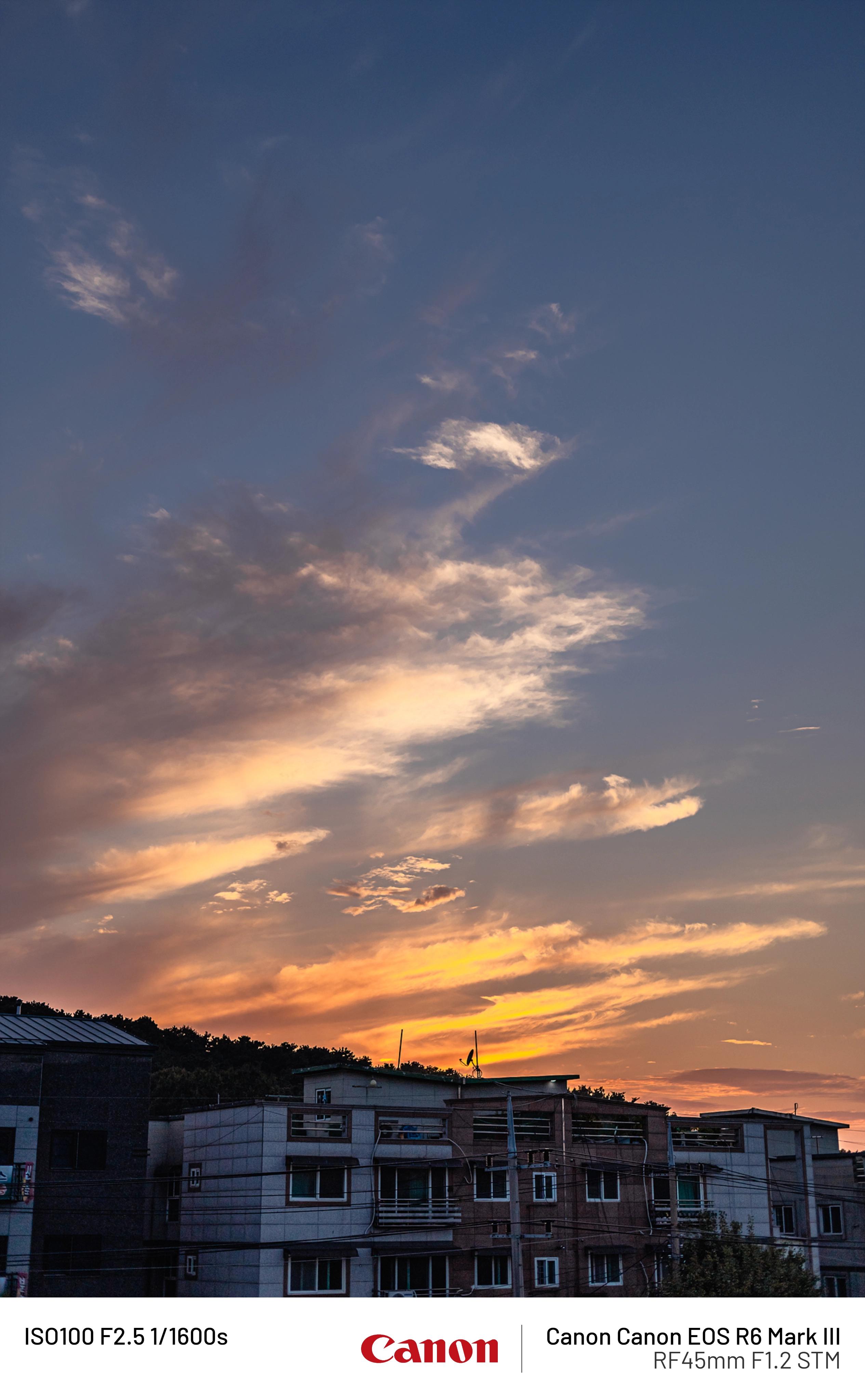 사오이 사진(30) (27)