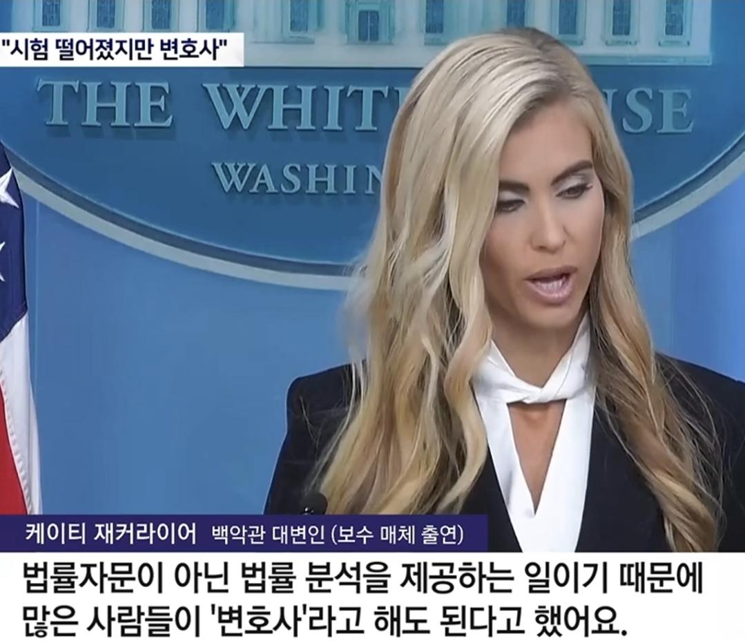 변호사 시험은 떨어졌는데 변호사는 맞다??? (3)