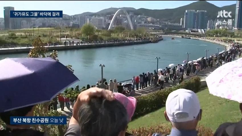상어 부캉이 구조작업 또 실패…바다 앞서 멈췄다 (4)