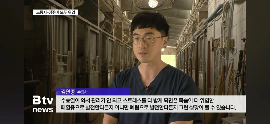동물권 침해에도 침묵 중인 동물보호단체들._4.webp