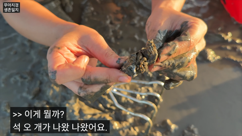 갯벌에서 식자재 해결하는 여자 (14)