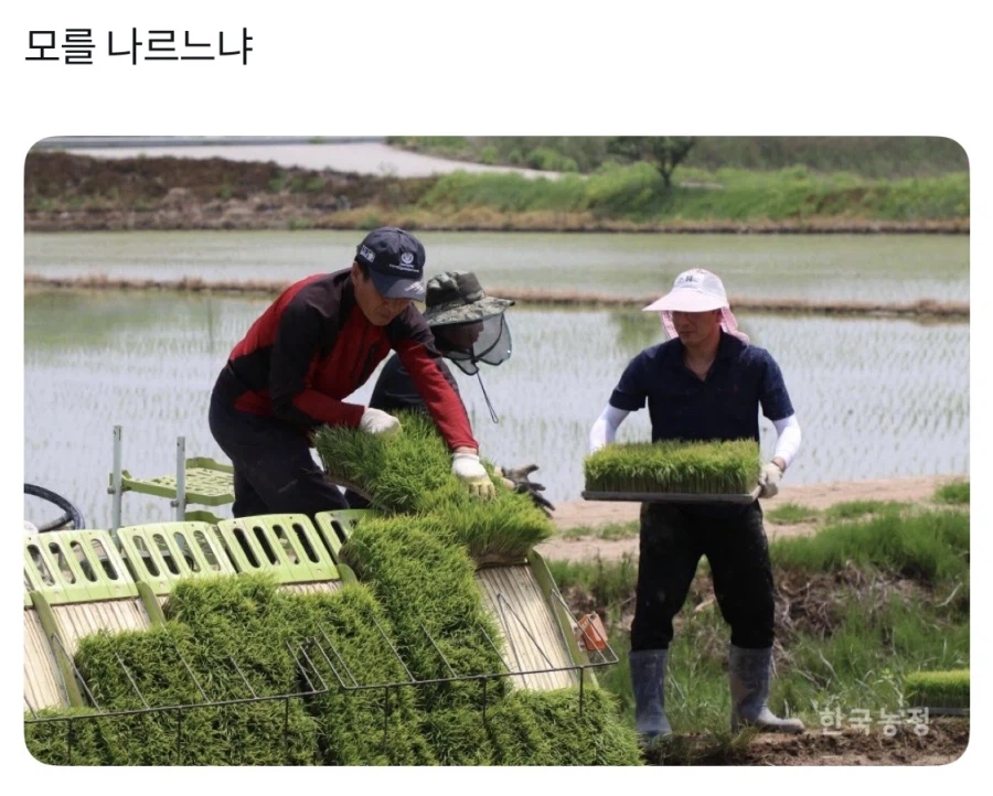 나를 모르느냐_1.webp