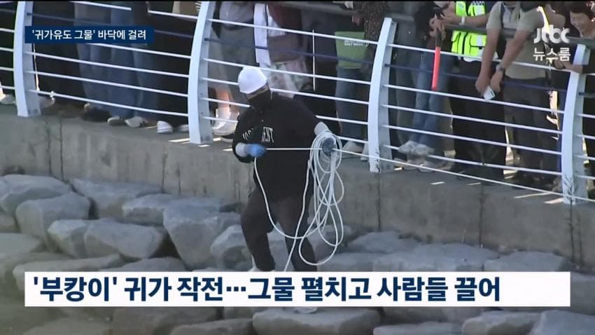 상어 부캉이 구조작업 또 실패…바다 앞서 멈췄다 (6)