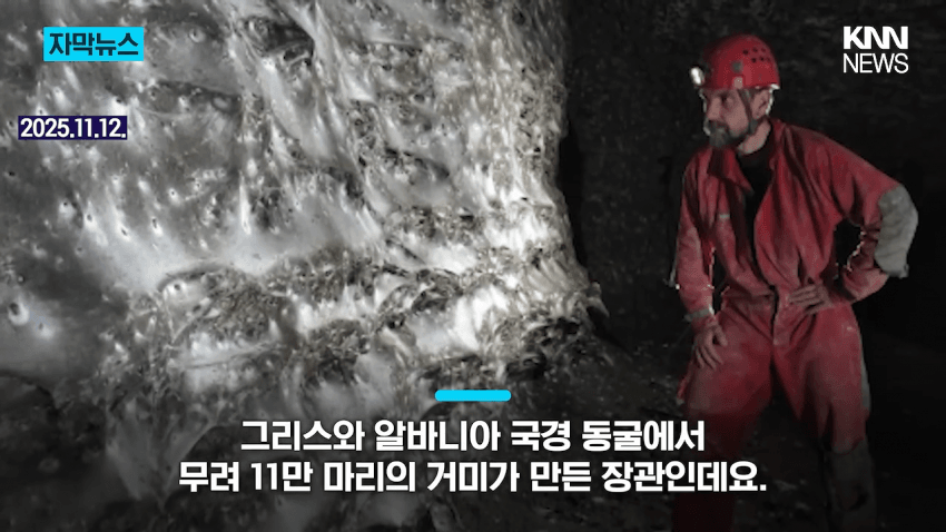 경악 세상에서 제일 큰 거미줄 발견 (2)