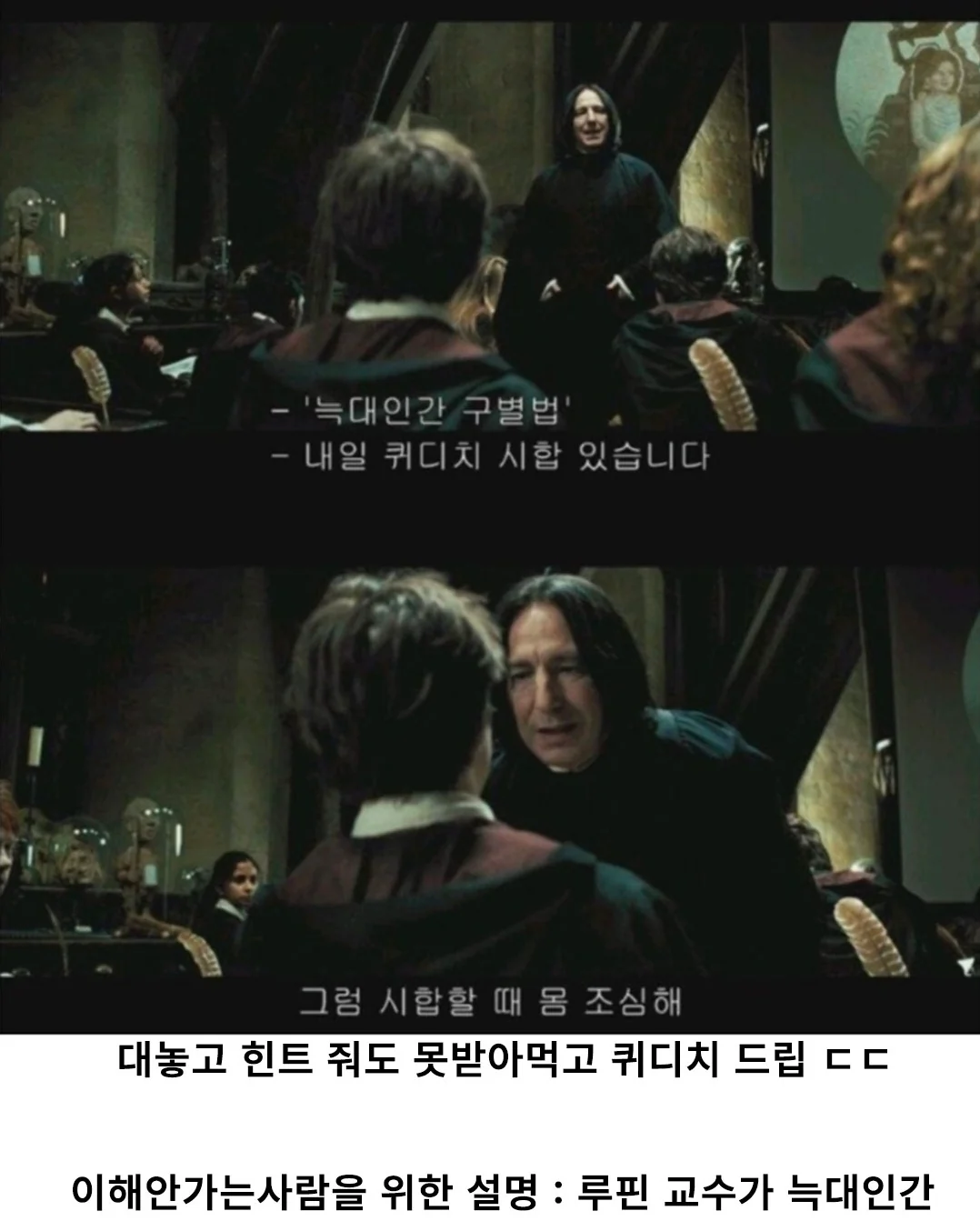 의외로 다 가르쳐주었다는 스네이프 교수 (8)