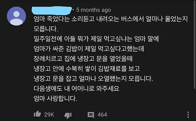 엄마 죽었다는 소리듣고 버스에서 울었다는 사람 (2)