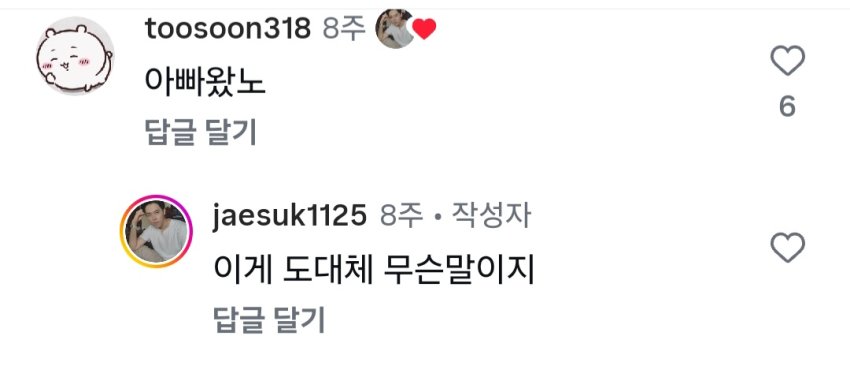 싱글벙글 베트남 와이프가 차려준 도시락 (7)