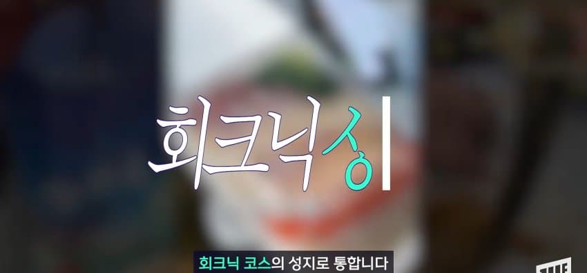 한강 필승 조합이 바꺘다, 회크닉 인기. (17)