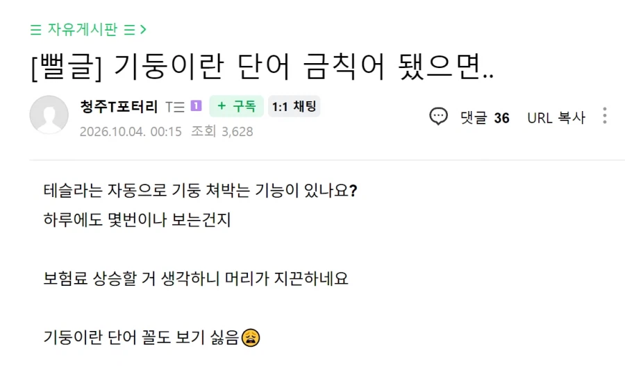 테슬라 오너들이 경기 일으키는 단어