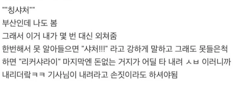 중국인 무임승차 이슈 와중 중국인도 못 뚫었다는 지역ㅋㅋ (5)