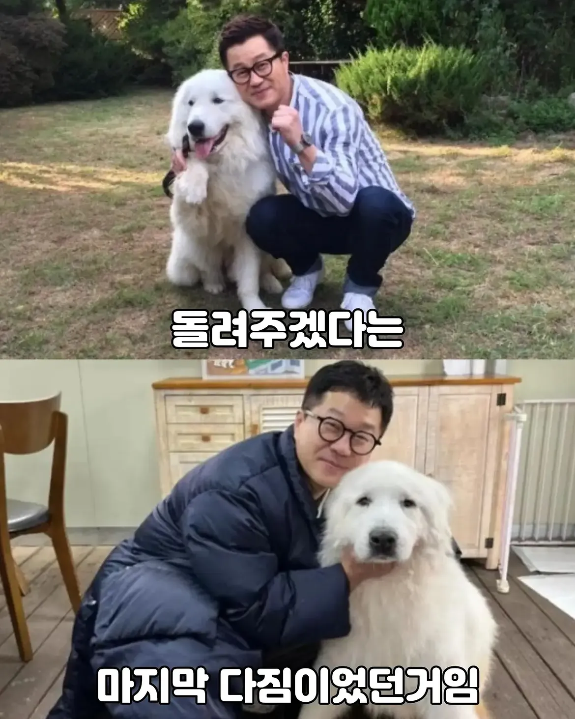 싱글벙글 17년동안 고마웠어요 힘겹게 버티던 댕댕이가 마지막까지 기다 (13)