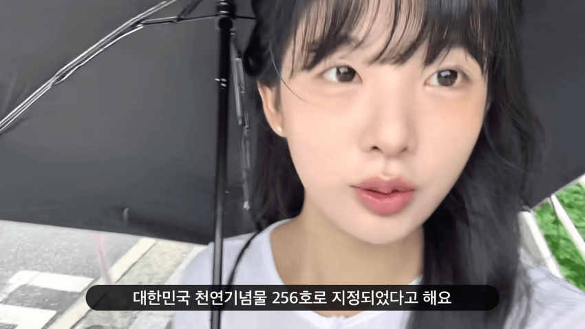 존예녀 혼자서 단양 여행하기 (21)