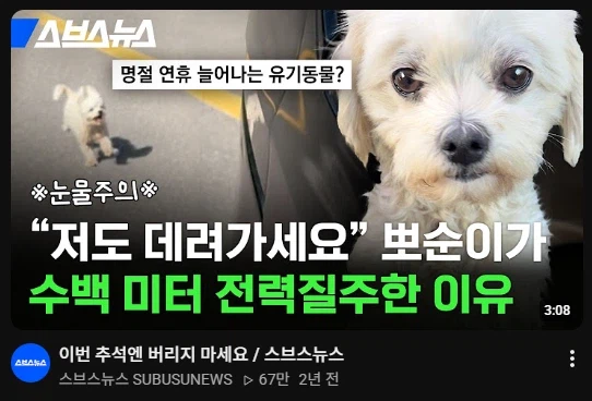 올해도 추석 다가오면 불안해지는 이유