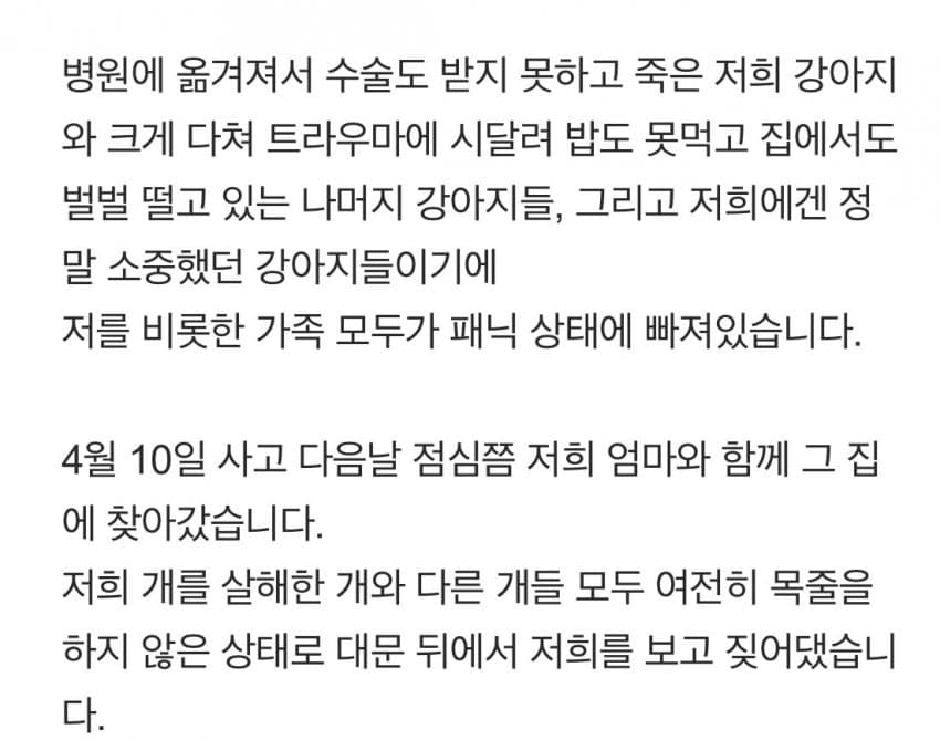 안싱글벙글 개물림 사고(강아지사망) 당했습니다 (6)