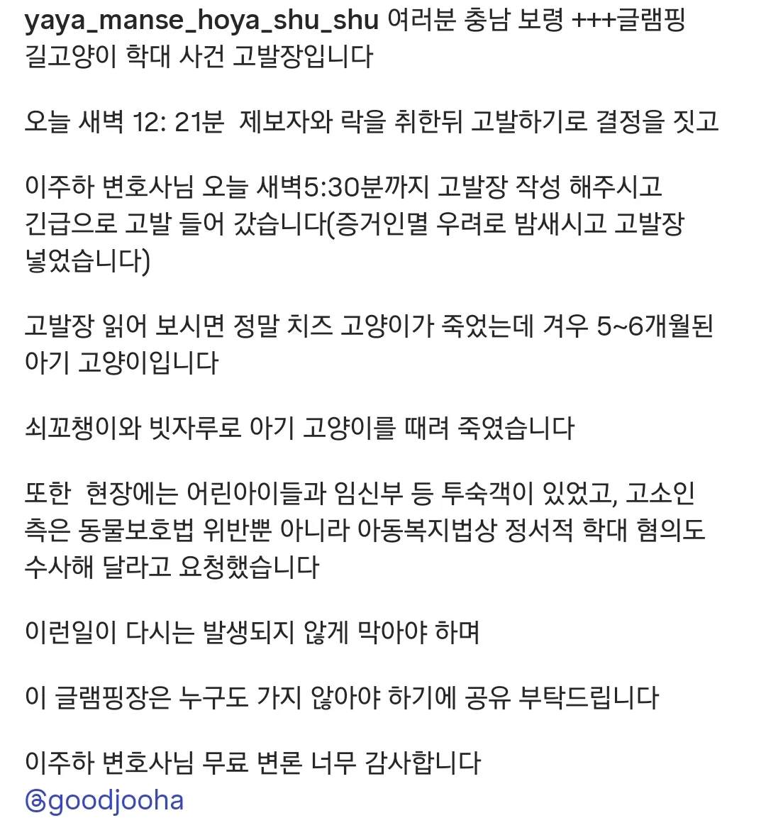 길냥이 때려죽인 캠핑장 주인, 만삭 아내·아이들 "죽이지 마" 오열 (4)